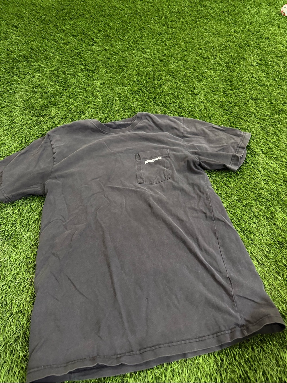 Patagonia T-shirt